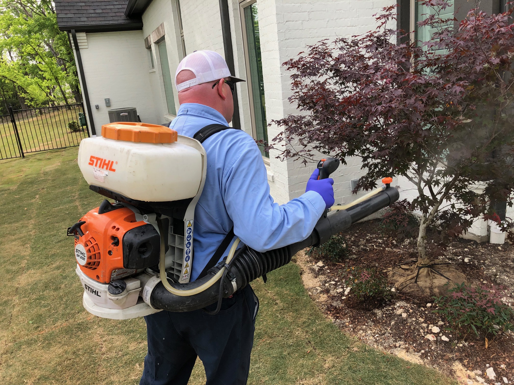 Mosquito Control Romex Pest Control Is Your Best Solution!